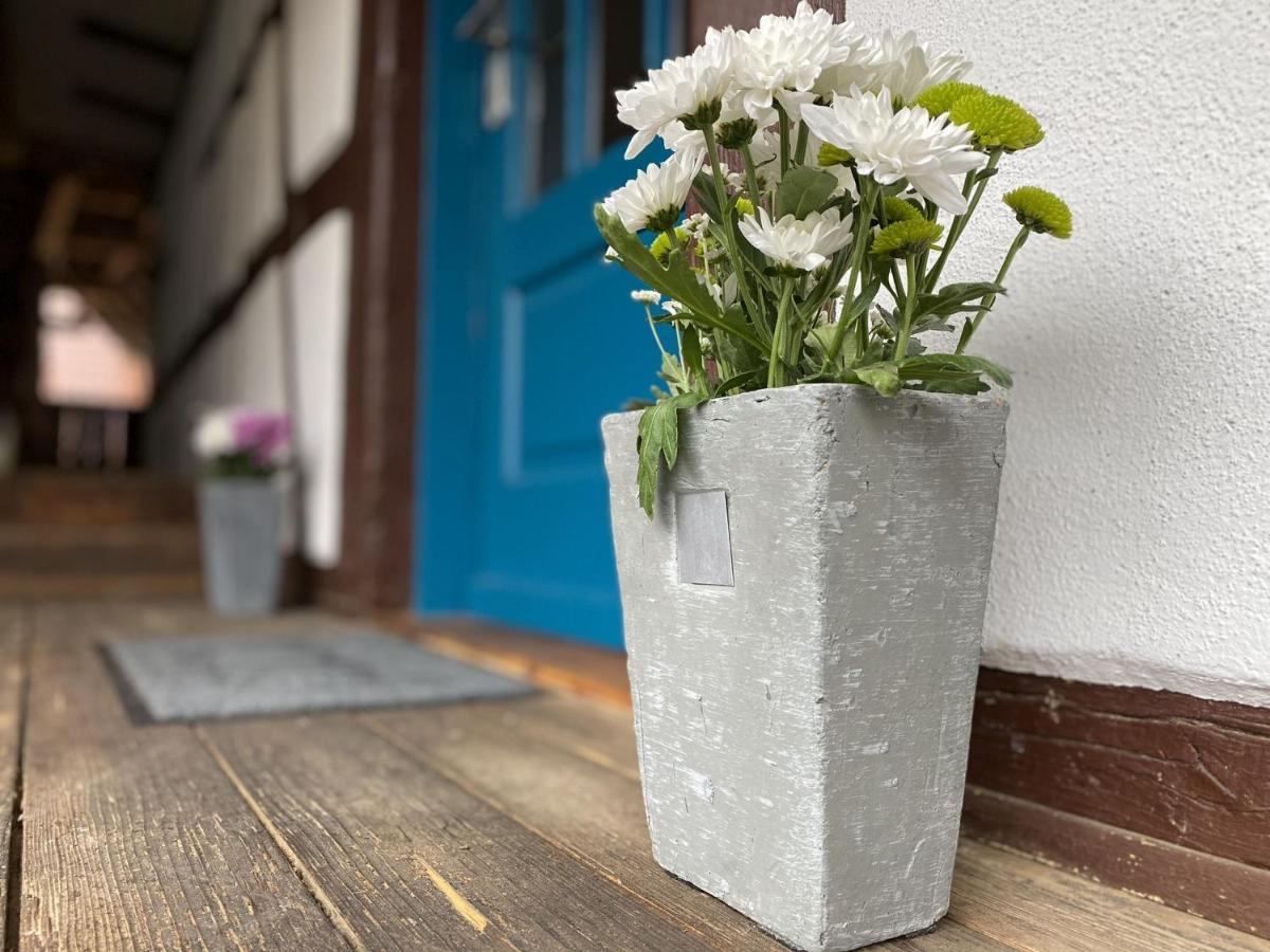 Ferienwohnung Traumhaft wohnen im Haus Blum Herbolzheim Exterior foto